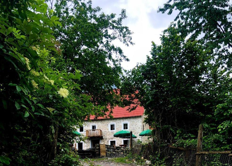 Guesthouse Kujtimi 세스 외부 사진