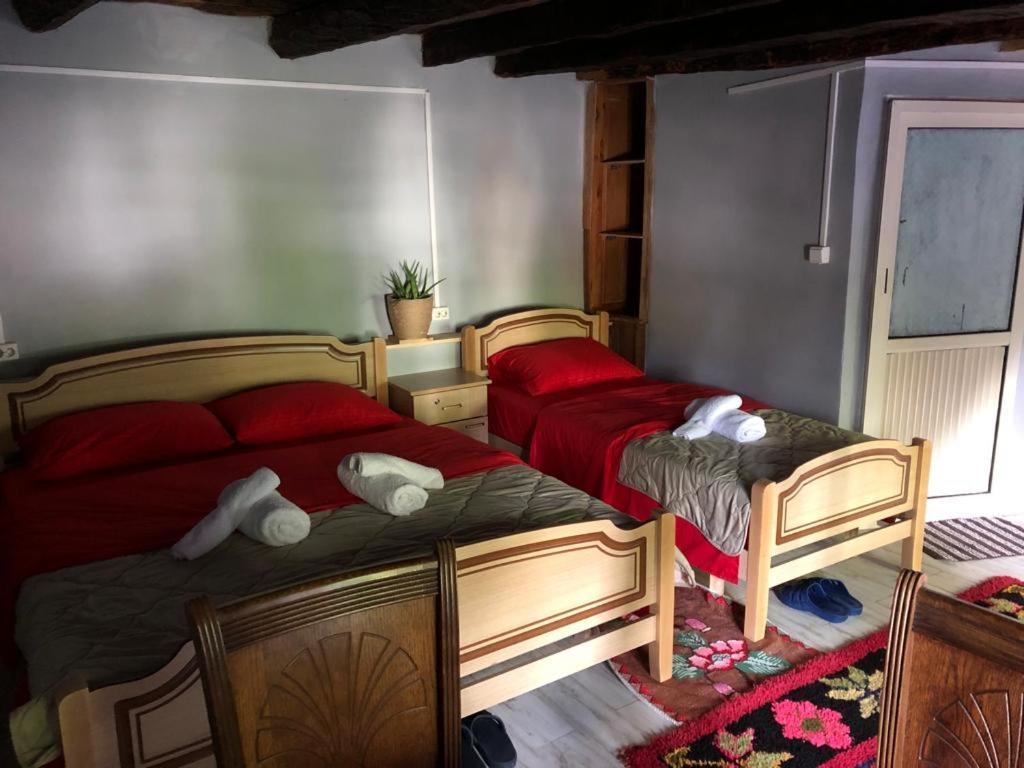 Guesthouse Kujtimi 세스 외부 사진
